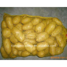 Frische Kartoffel-Exporteur